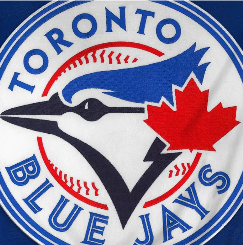 Toronto Blue Jays MLB Express Twill Logo Hoodie - Royal Blue - Image 3