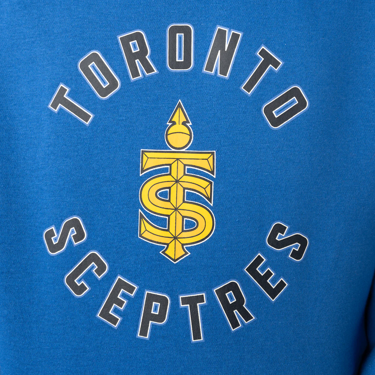 Youth PWHL Team Ultimate Hoodie Toronto Sceptres - Blue - Image 3