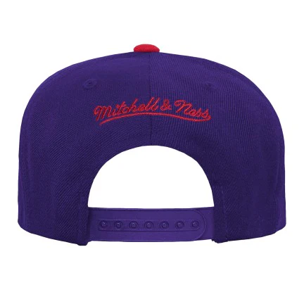 Youth Toronto Raptors Hard Wood Classic Mitchell & Ness 2-Tone Snapback Hat - Image 2